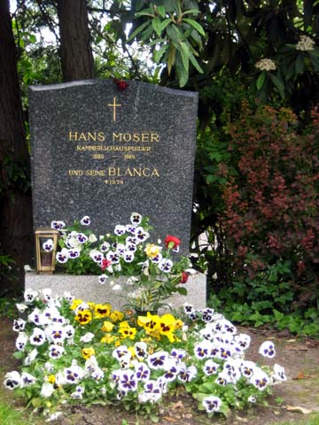 Wiener Zentralfriedhof7