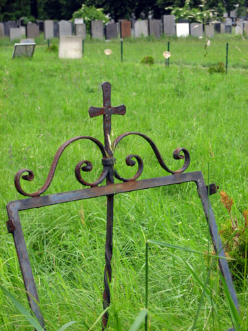 kandidaten-slideshow-bild5