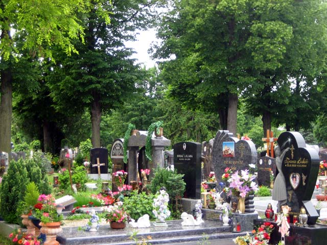 kandidaten-slideshow-bild6